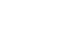 Indian Software Dev Company