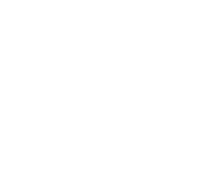 MaticZ Software Consulting Firm